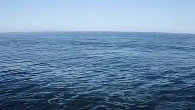 平静的蓝色大海海面波浪视频的预览图